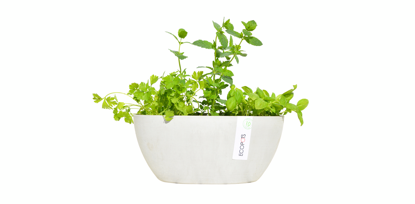 Ruukku Ecopots Sofia 30cm valkoharmaa