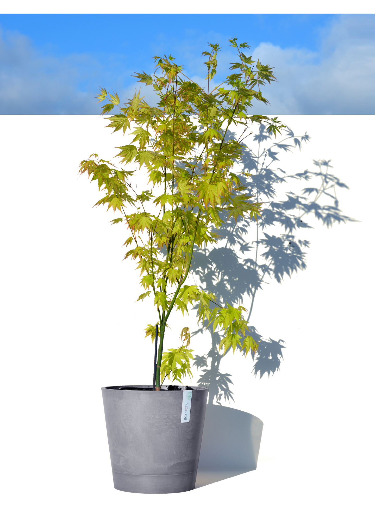 Ruukku Ecopots Venetsia 30cm harmaa