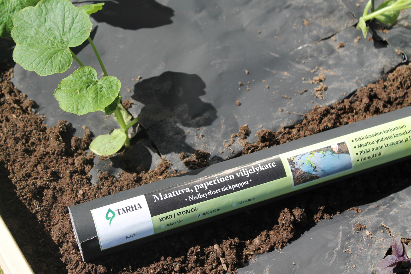 Viljelykate Tarha biohajoava 0,6x20m