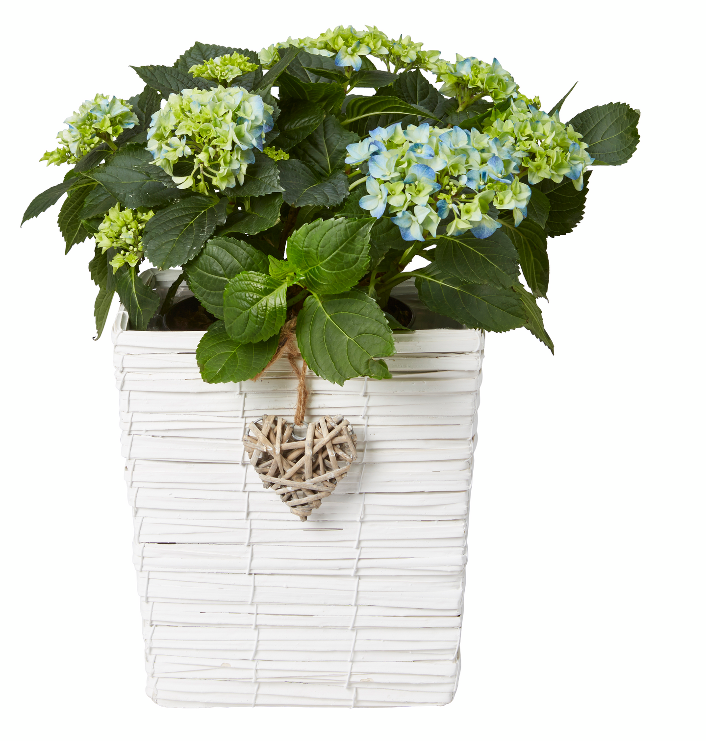 Pajuruukku neliö sydän 30x30cm valkoinen