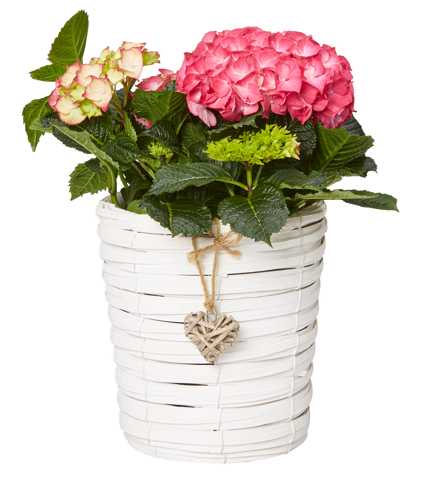 Pajuruukku pyöreä sydän valkoinen halkaisija 21cm