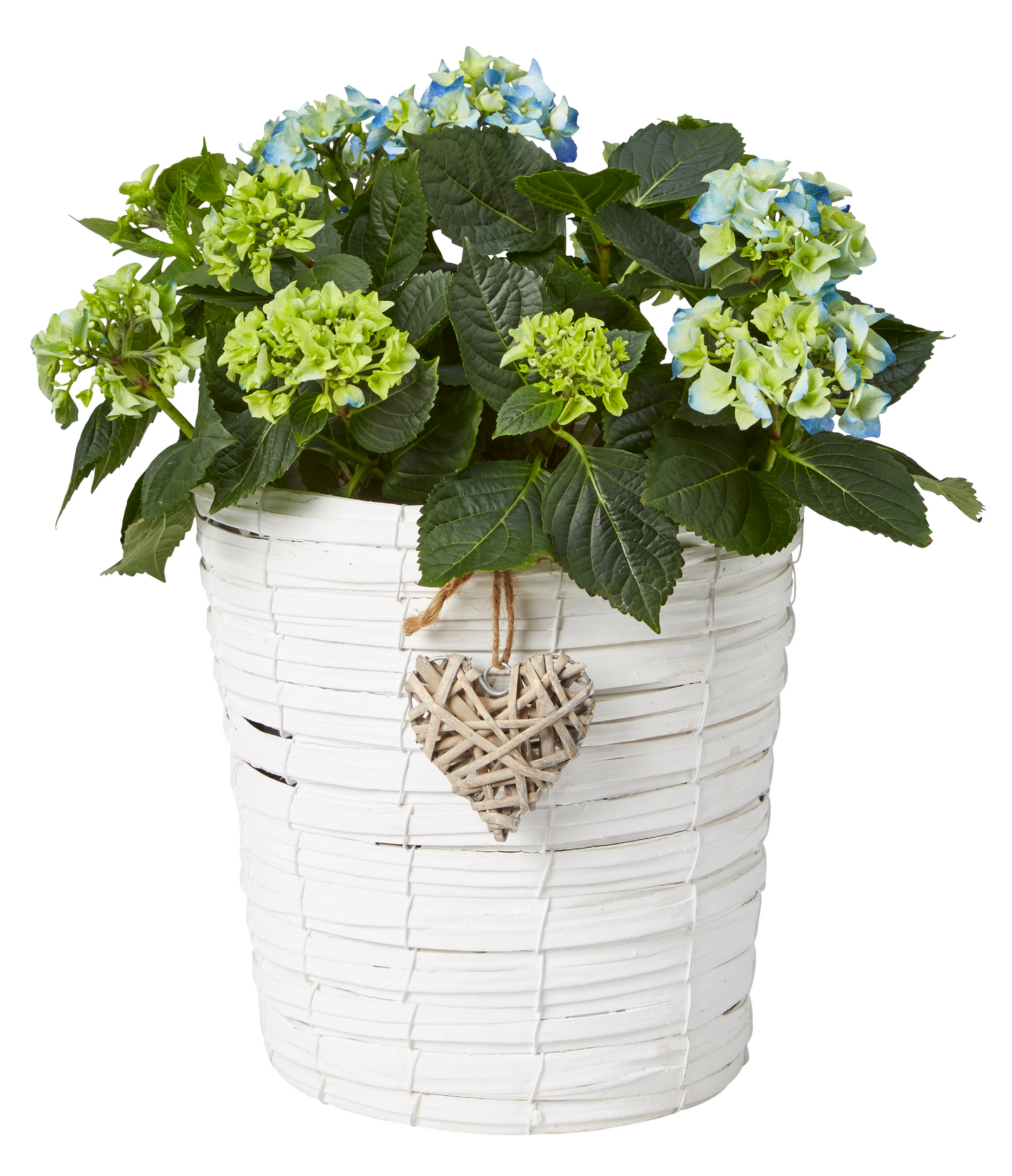 Pajuruukku pyöreä sydän valkoinen halkaisija 26cm