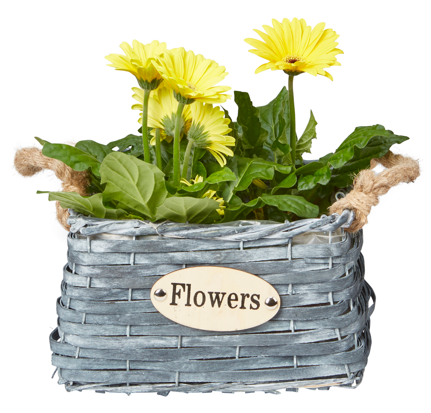 Pajuruukkuneliö musta 22x22cm