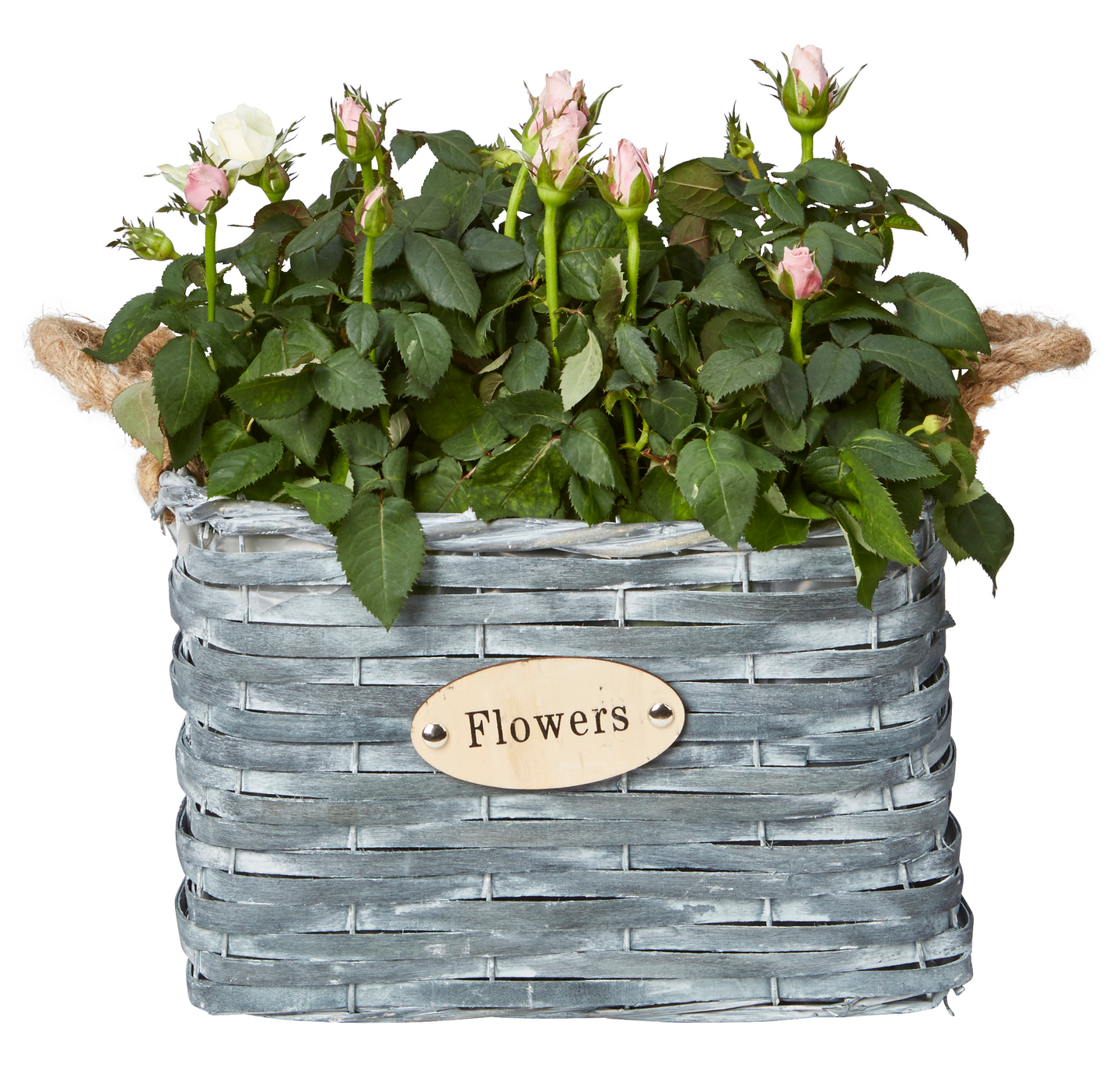 Pajuruukku neliö musta 28x28cm