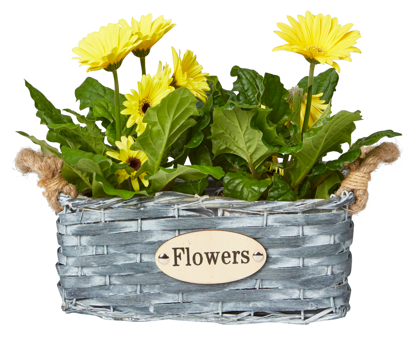 Pajuruukku suorakaide musta 27x16cm