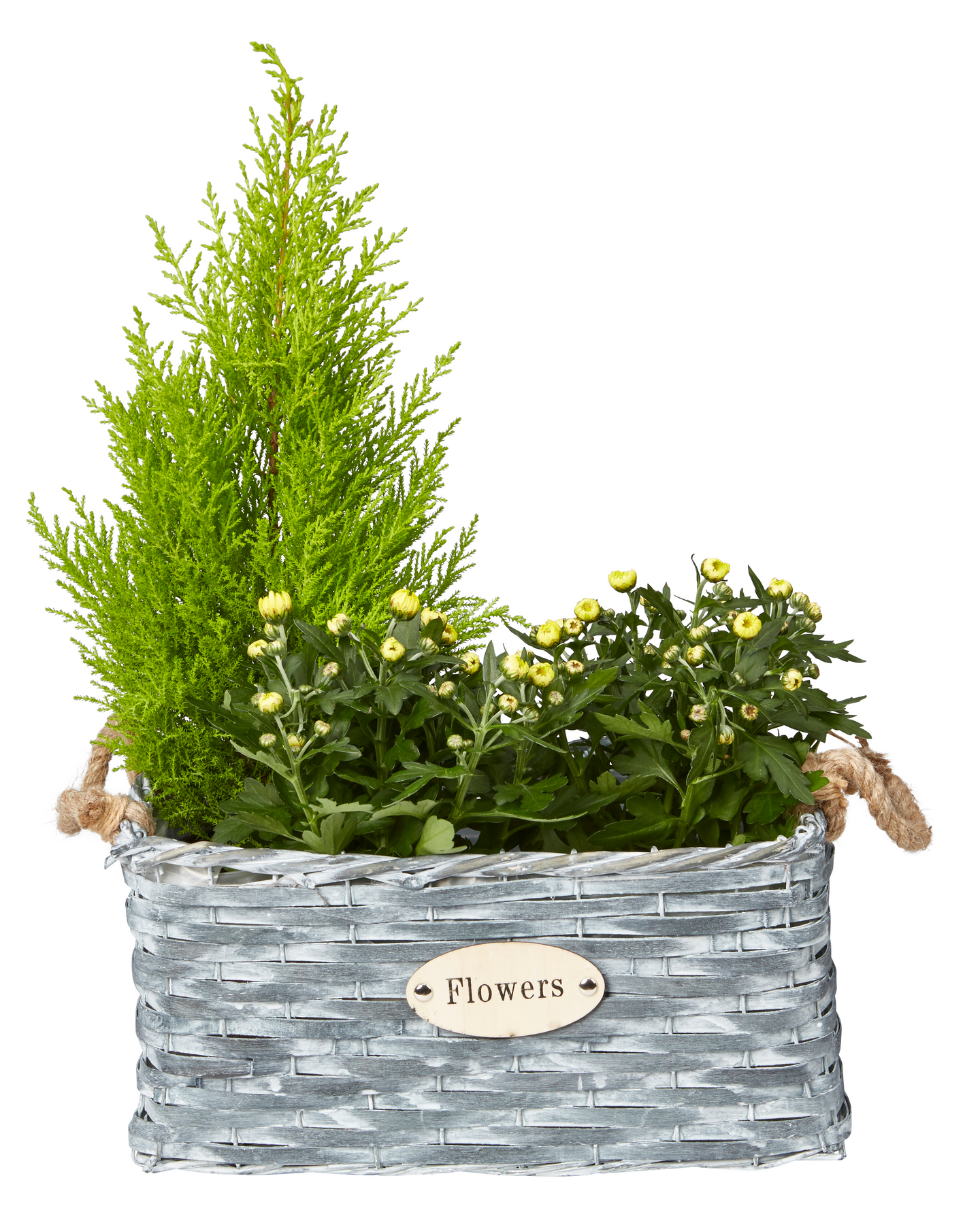 Pajuruukku suorakaide musta 36x26cm