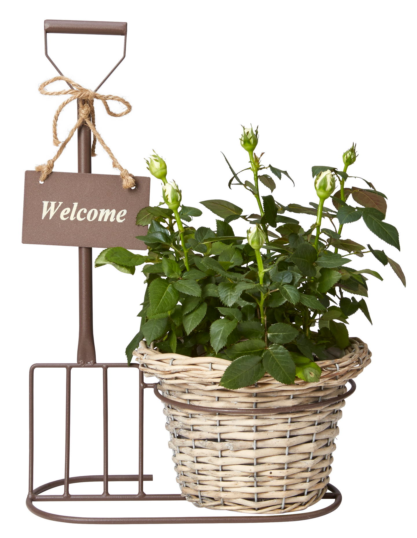 Kukkateline Excellent talikko + pajuruukku