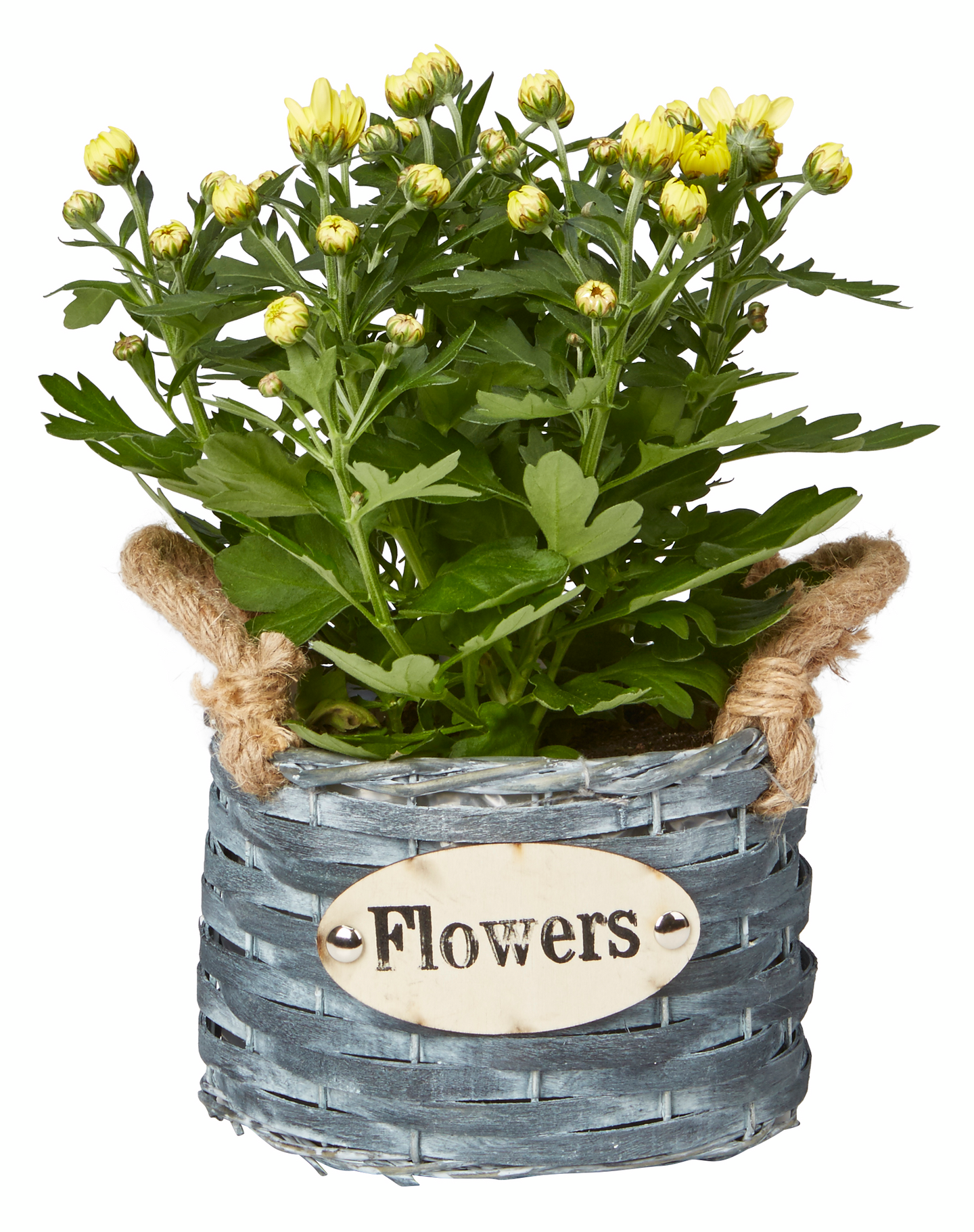 Pajuruukku pyöreä musta halkaisija 16cm