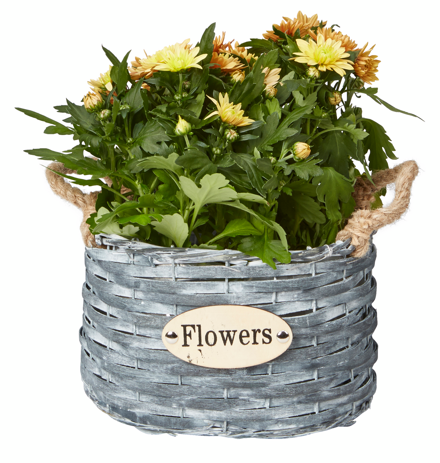 Pajuruukku pyöreä musta halkaisija 23cm