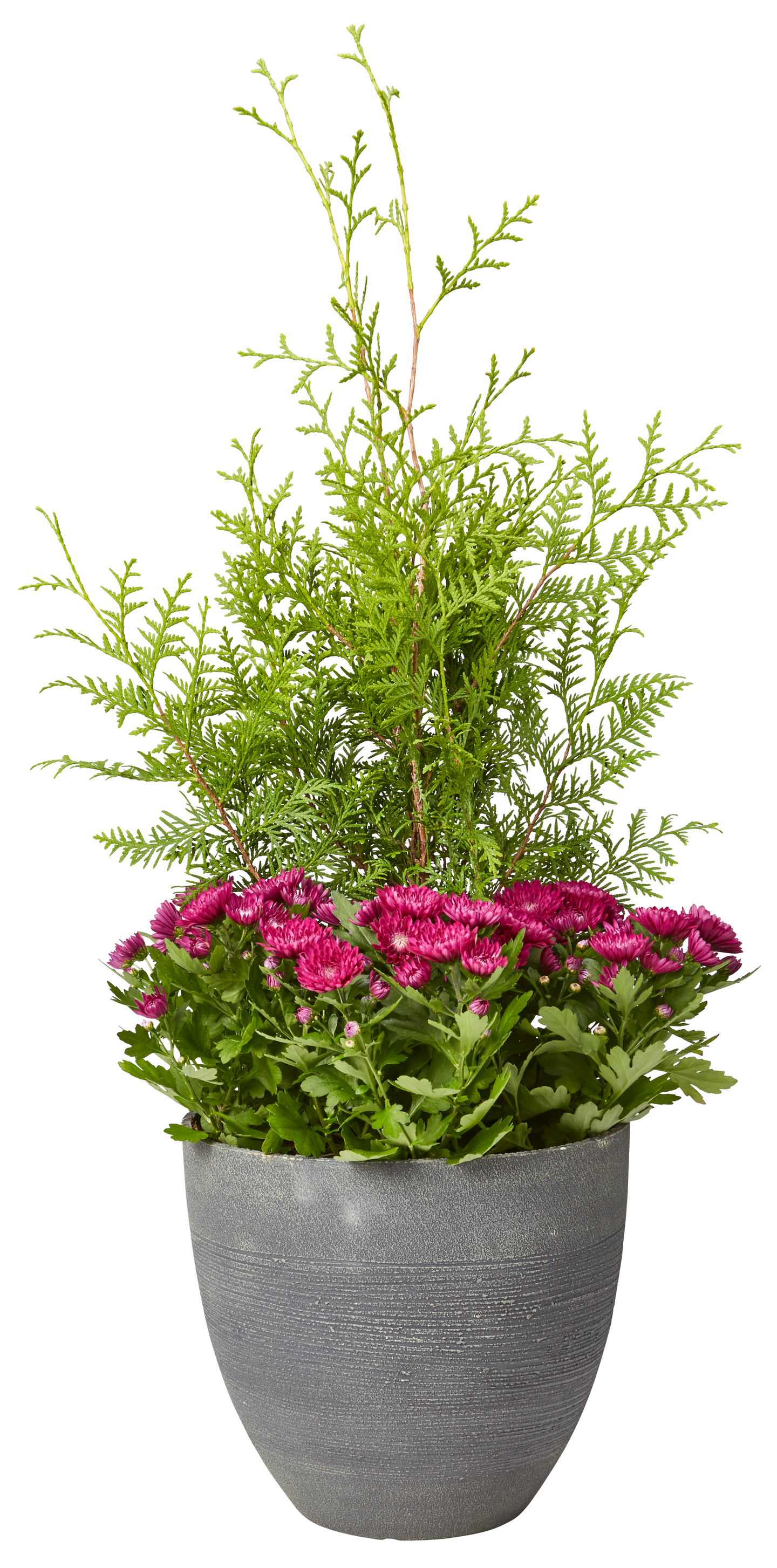 Ruukku Cello Echo harmaa 27x31cm