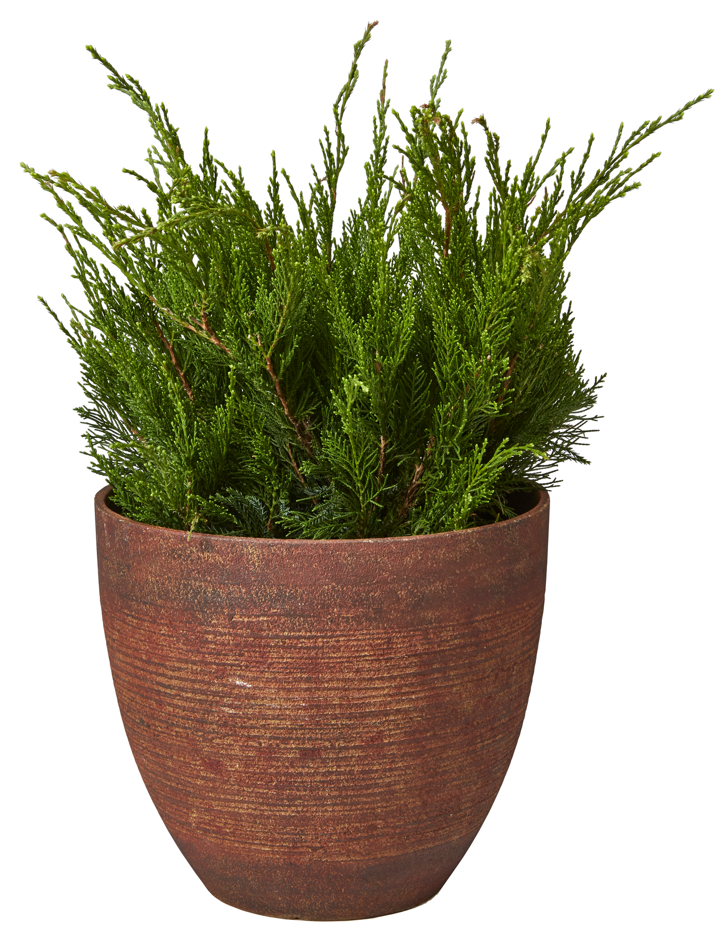 Ruukku Cello Echo ruoste 27x31cm