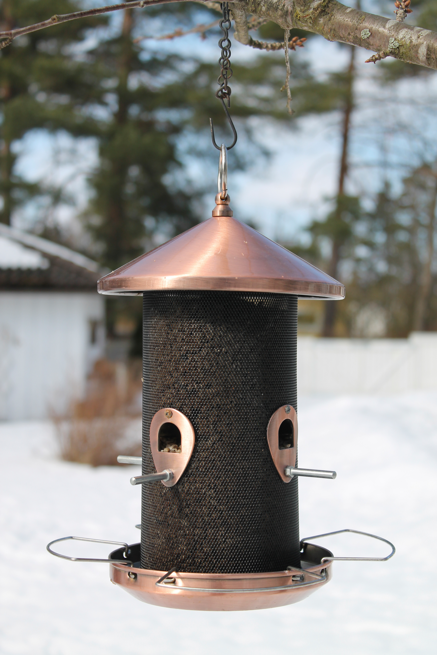 Siementensyöttölaite linnuille Delux