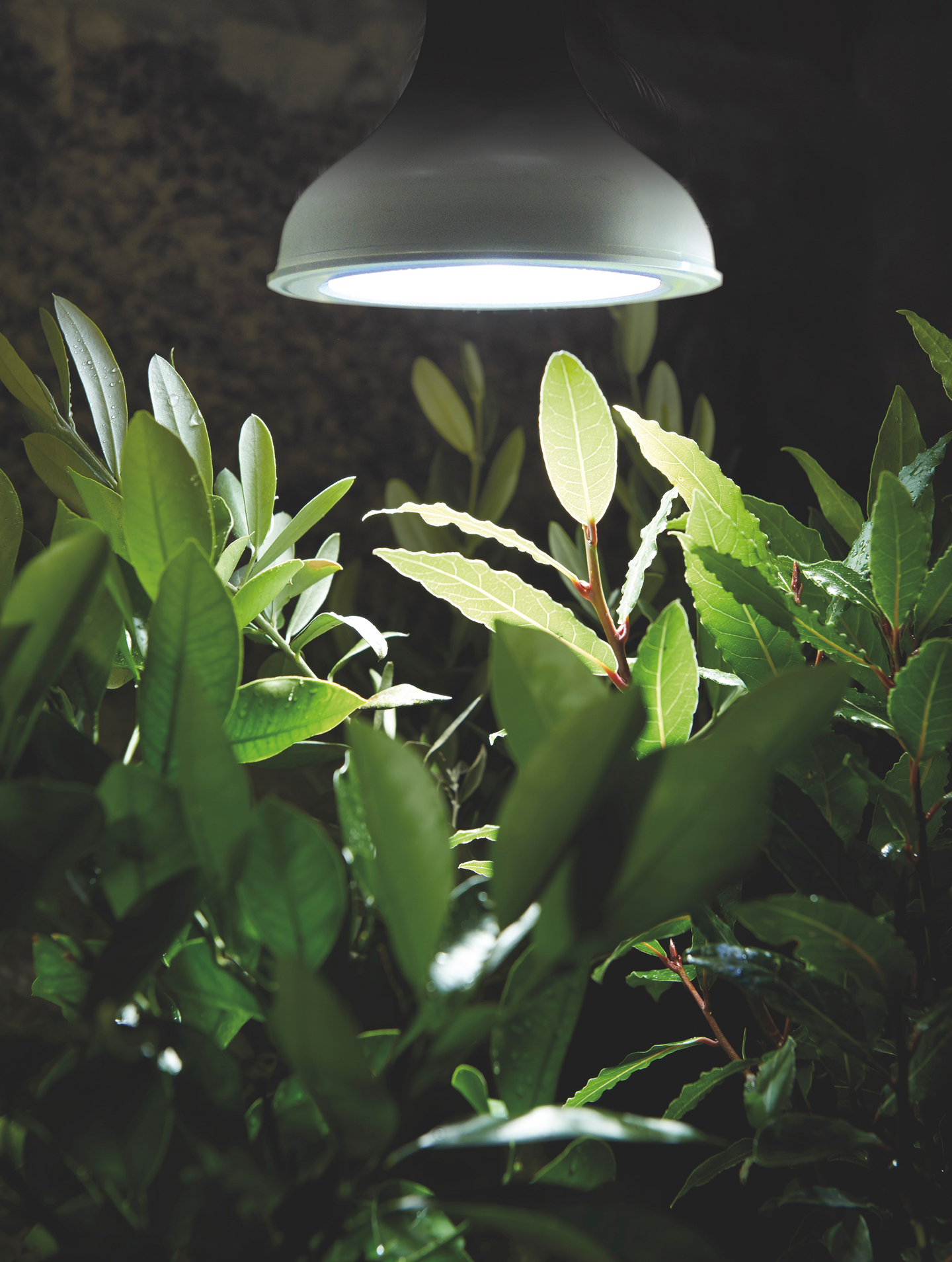 Kasvivalo Nelson Garden led-lamppu 18W E27