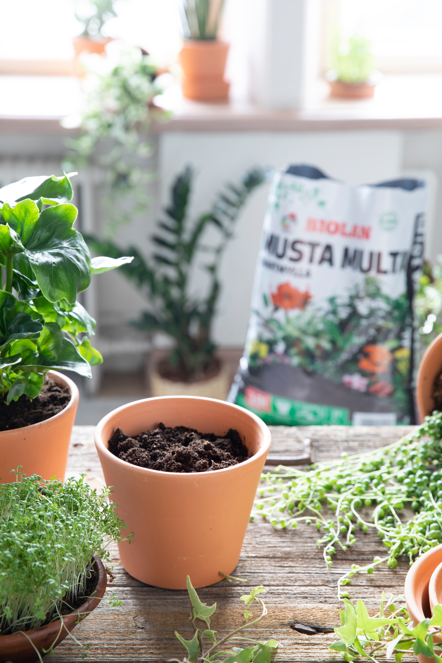 Kukkamulta Musta Multa Biolan 10l