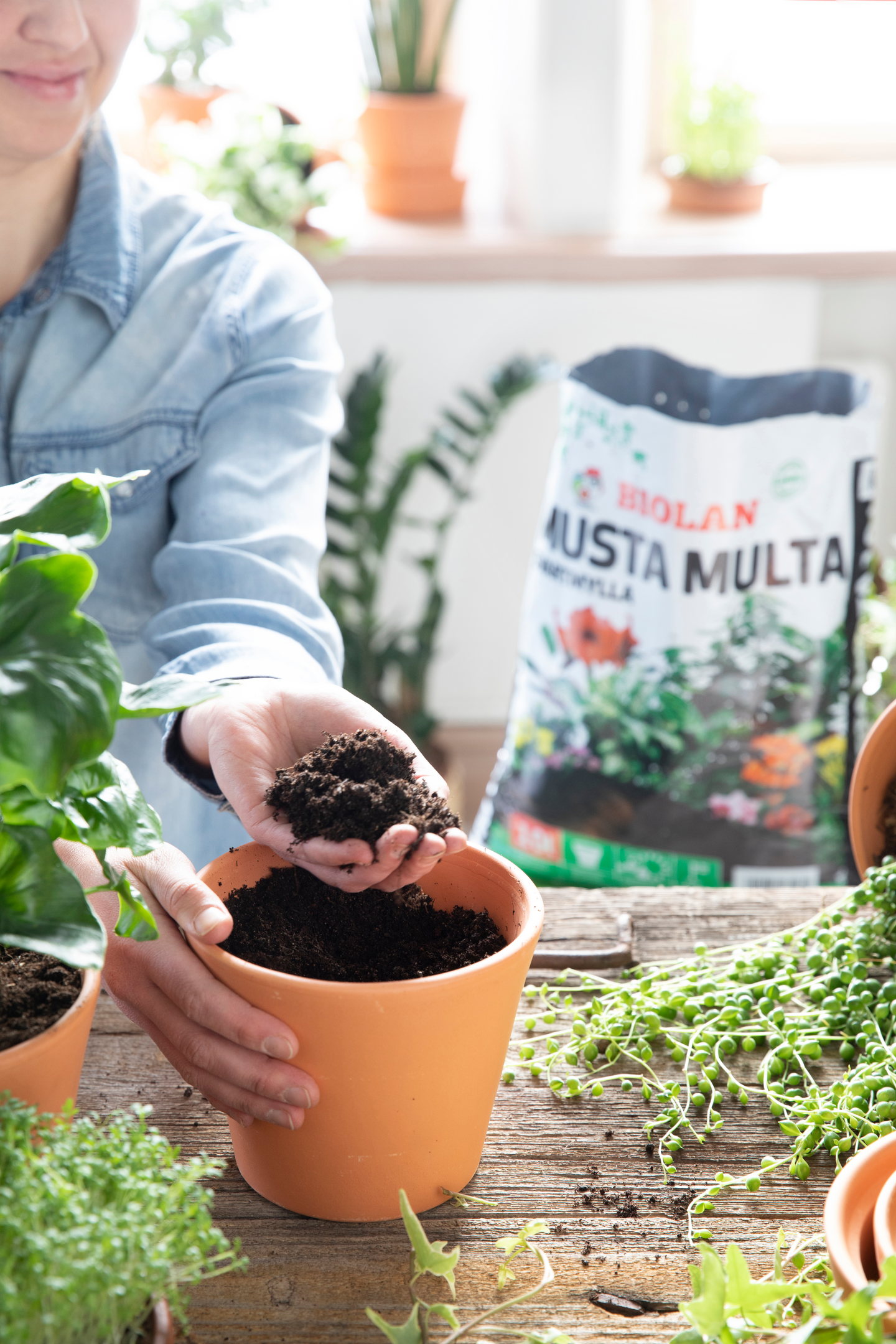 Kukkamulta Musta Multa Biolan 10l