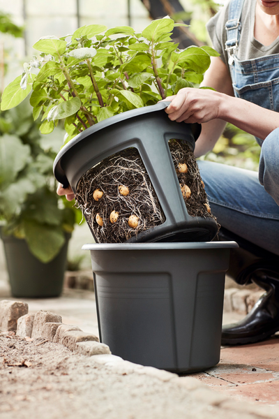 Ruukku Green Basics Potato Pot 33cm
