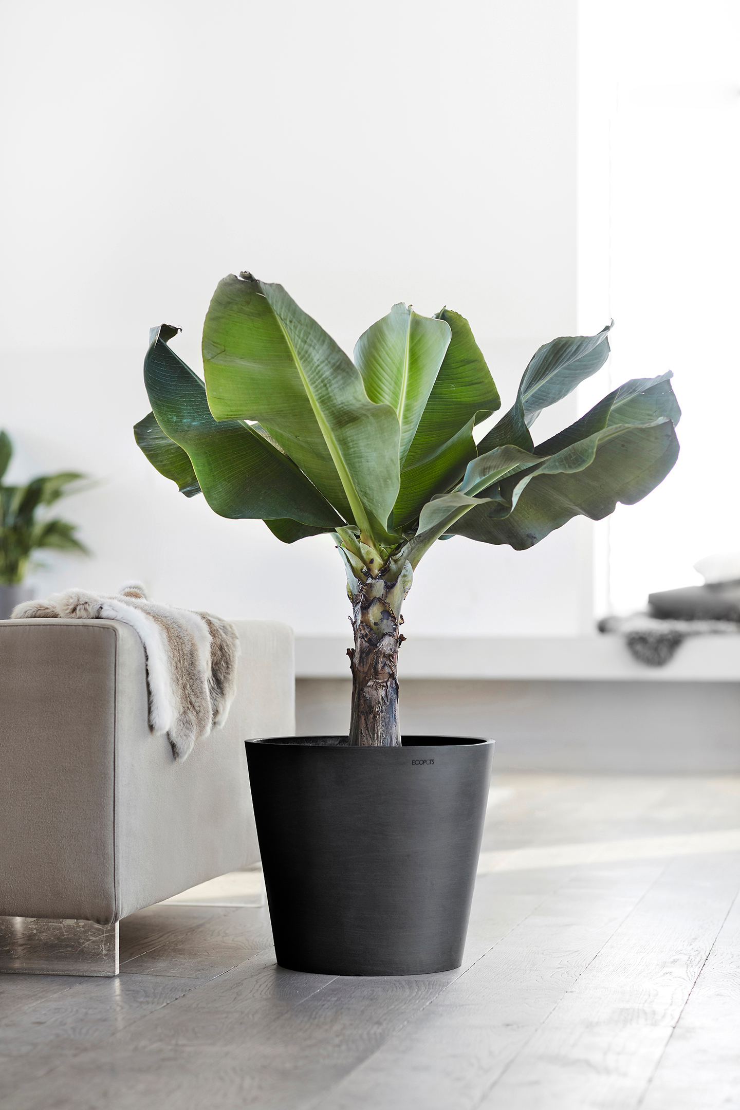 Ruukku Ecopots Amsterdam 40cm tummanharmaa