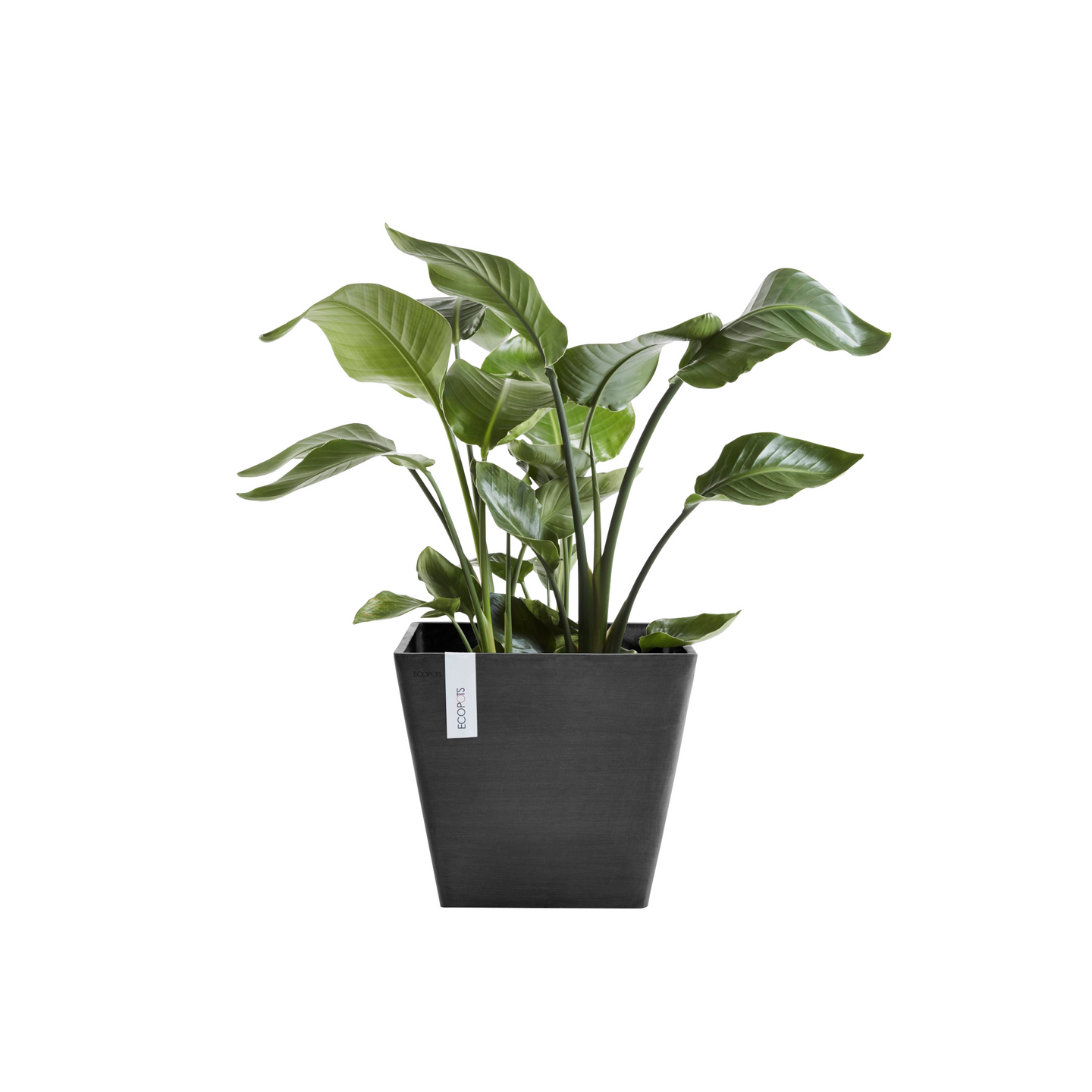 Ruukku Ecopots Rotterdam 50cm tummanharmaa