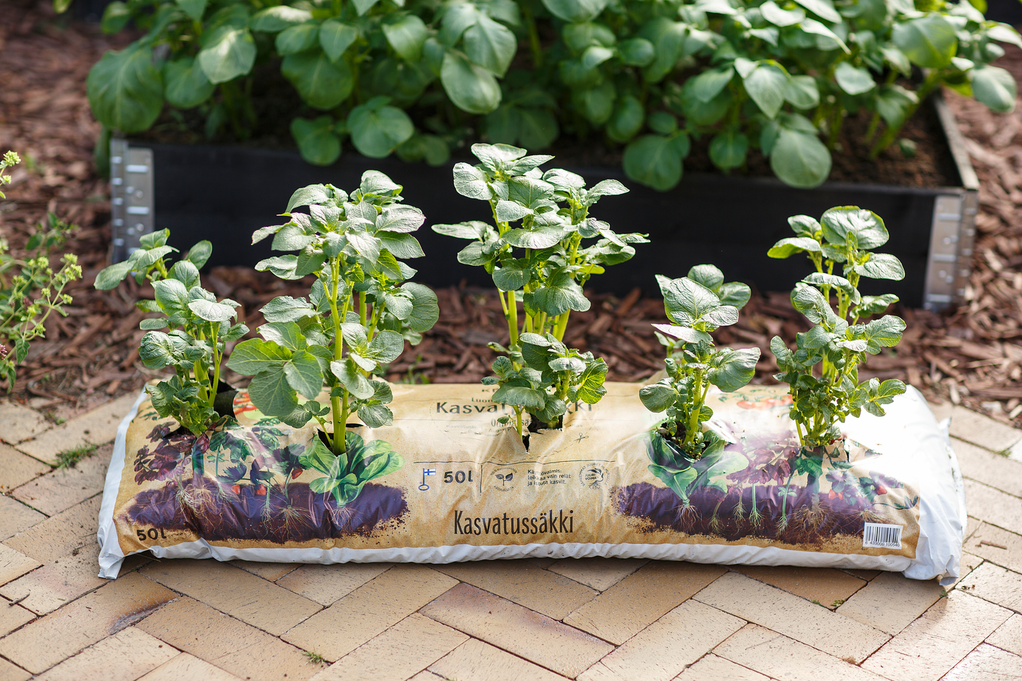 Kasvatussäkki Kekkilä luonnonmukainen 50l