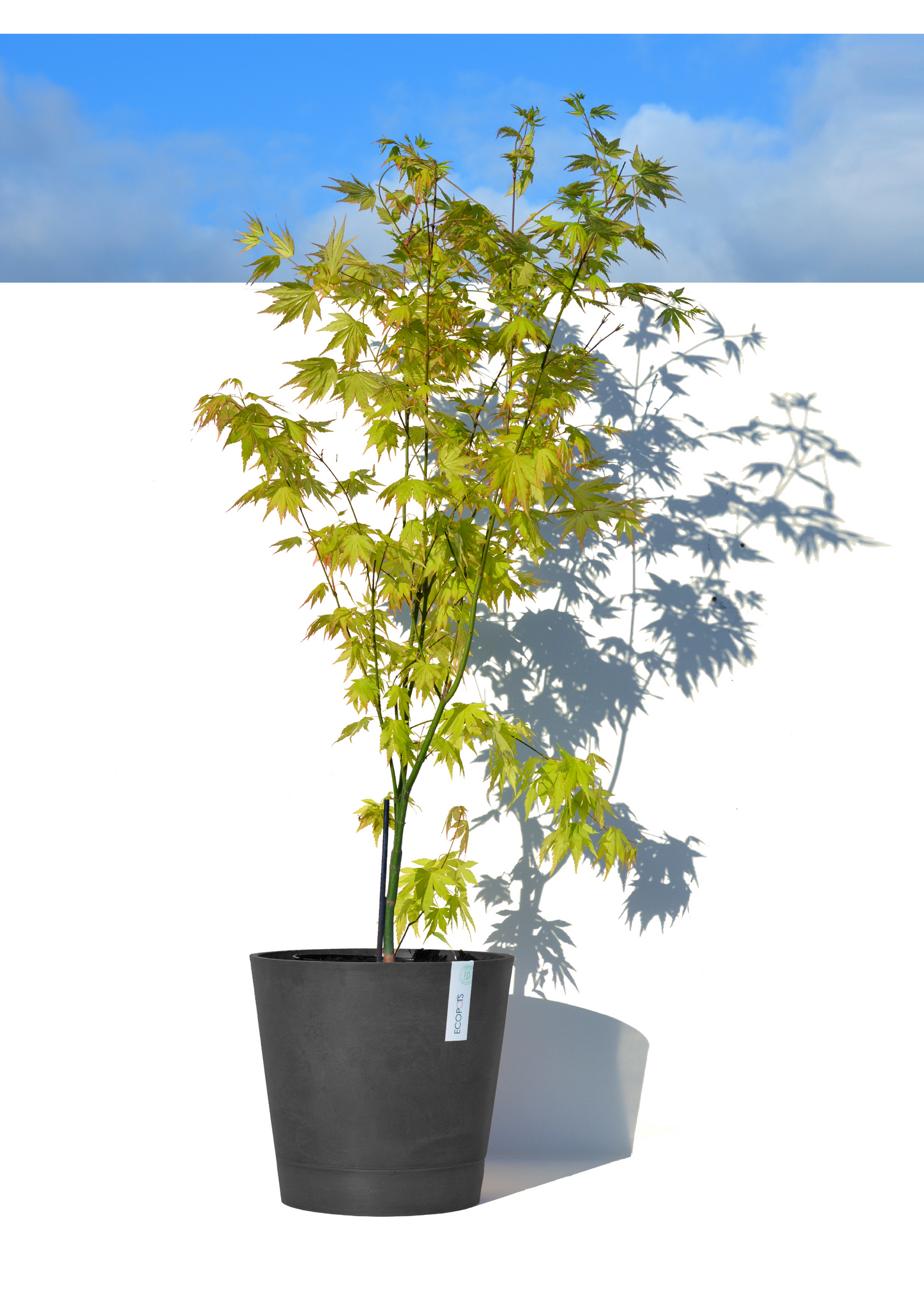 Ruukku Ecopots Venetsia 30cm tummanharmaa