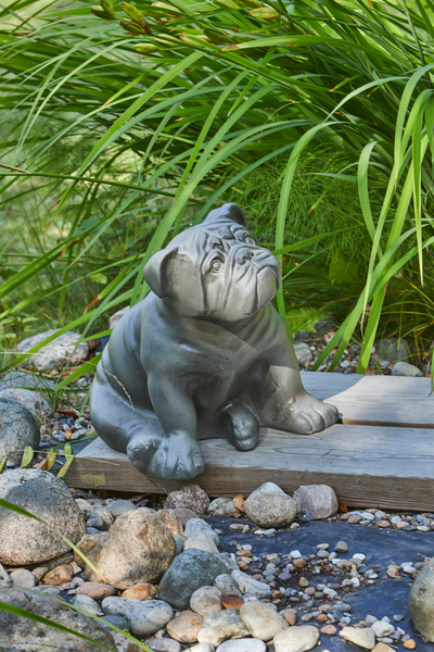 Pihakoriste koira korkeus 32cm