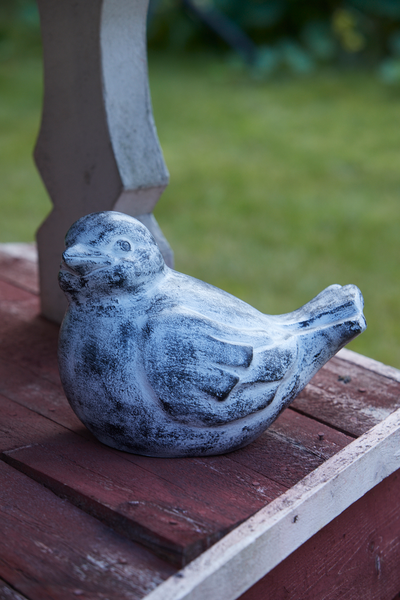 Pihakoriste lintu korkeus 21cm