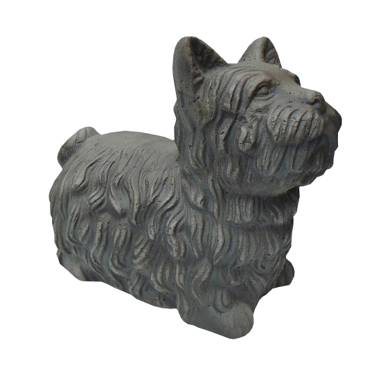 Pihakoriste terrieri korkeus 30cm