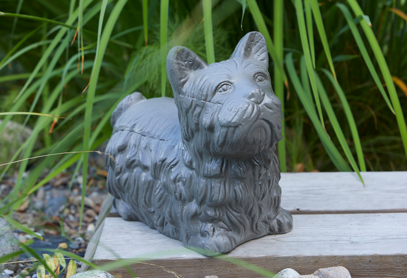 Pihakoriste terrieri korkeus 30cm