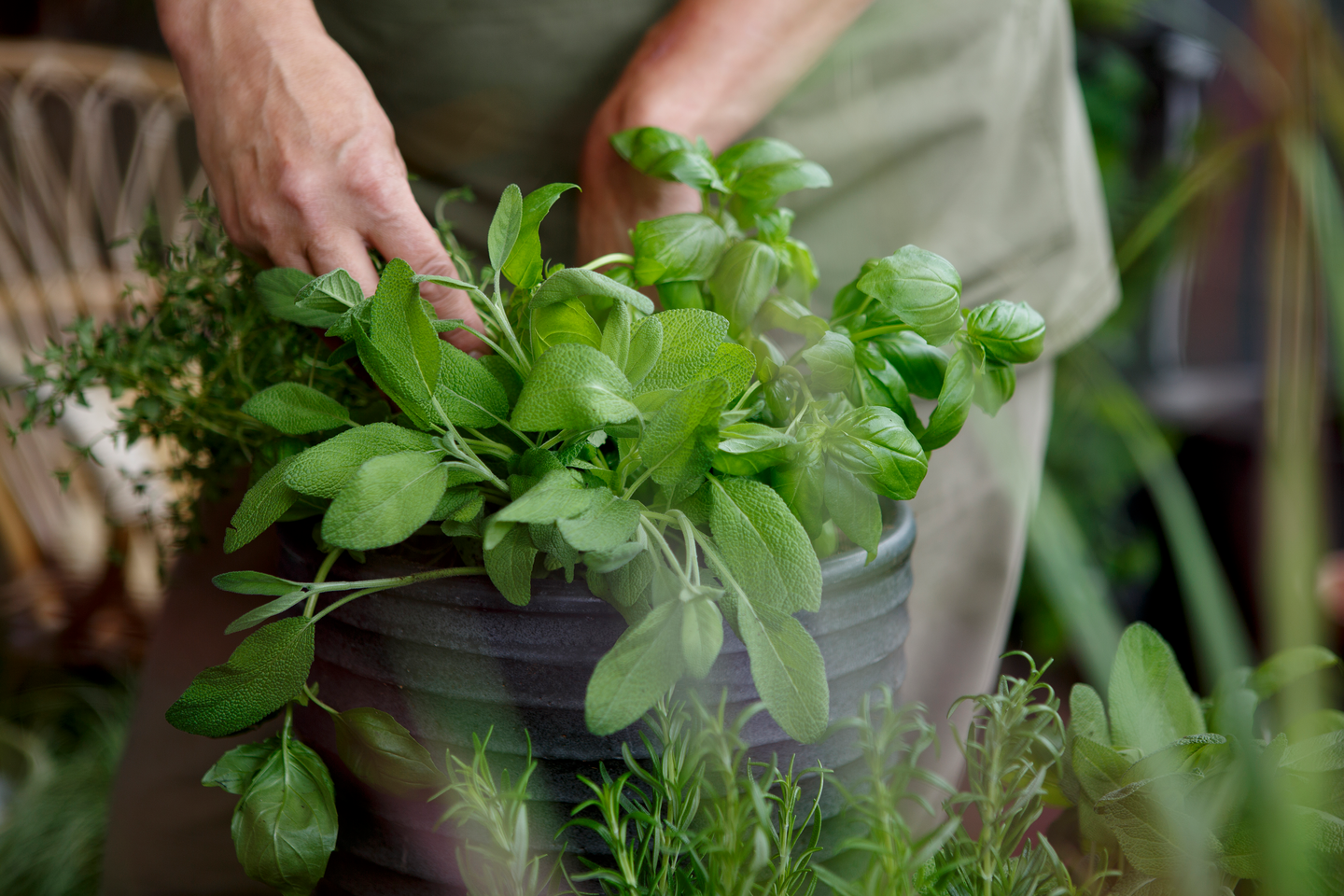 Yrttimulta 15l Kekkilä luonnonmukainen