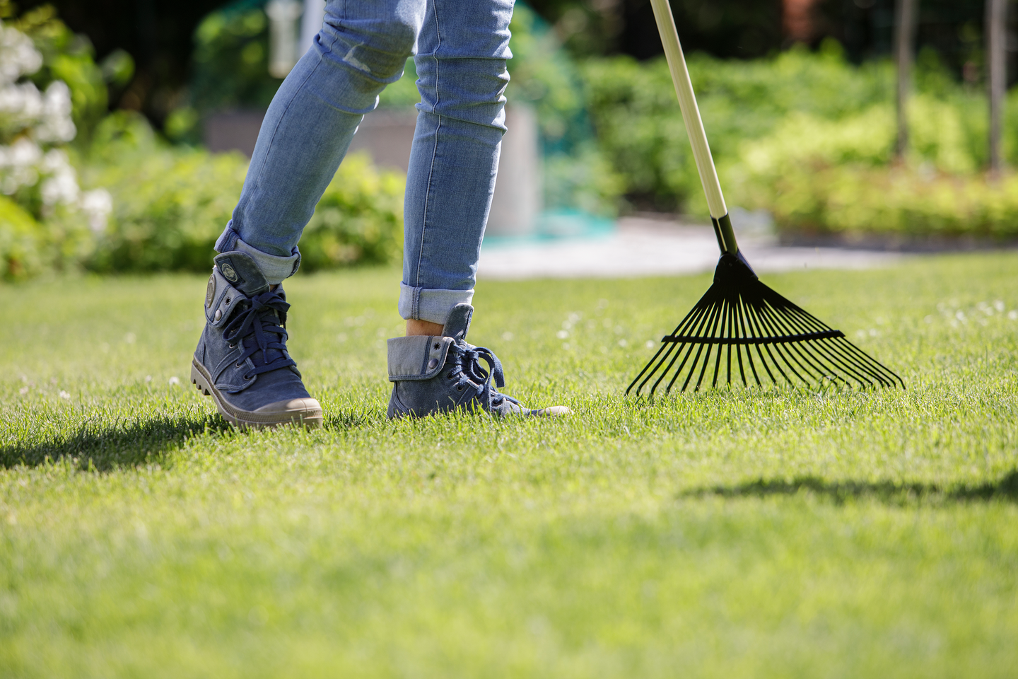 Nurmikon sammalsyöjä Kekkilä Plus+ 10l