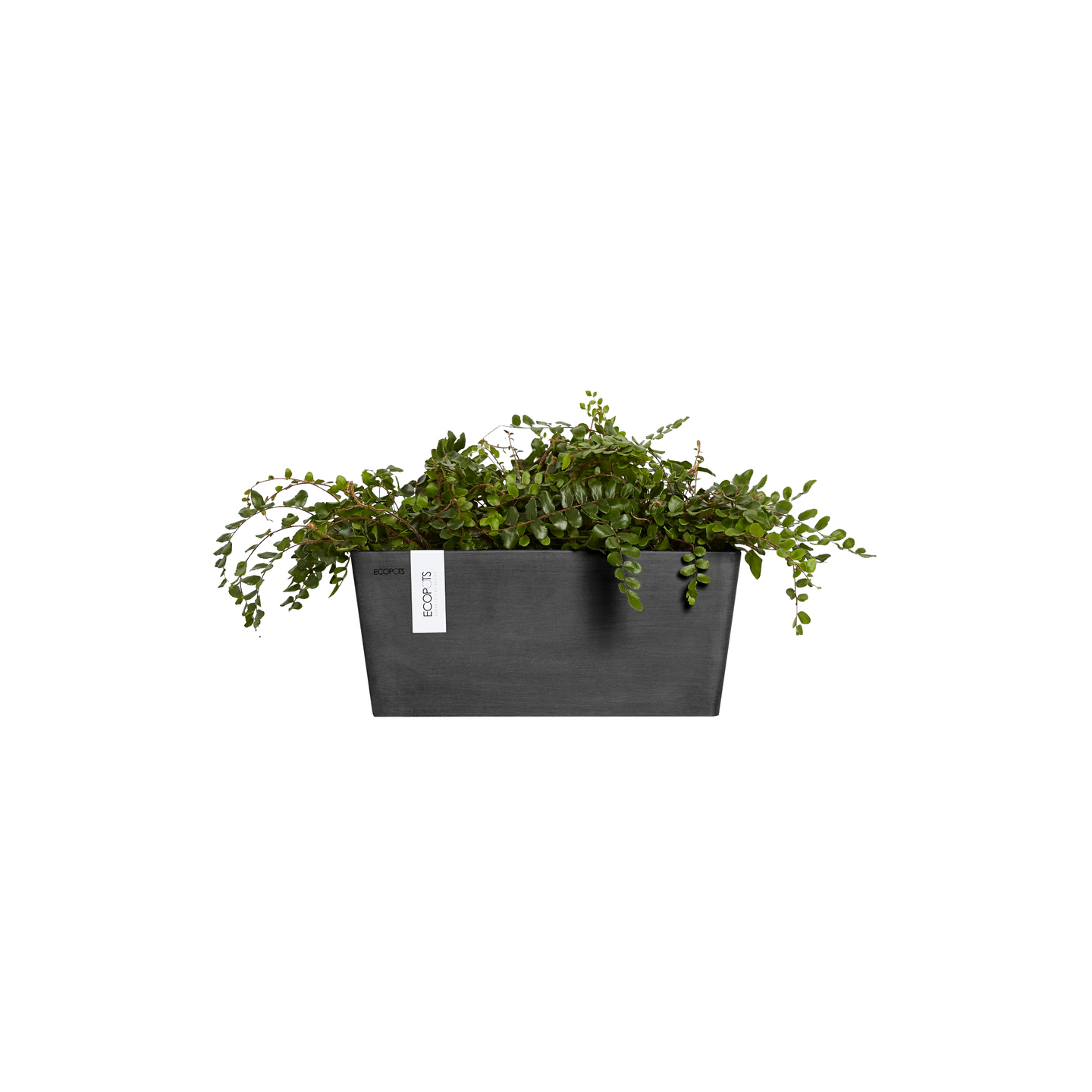 Seinäruukku Ecopots Manhattan 35cm tummanharmaa