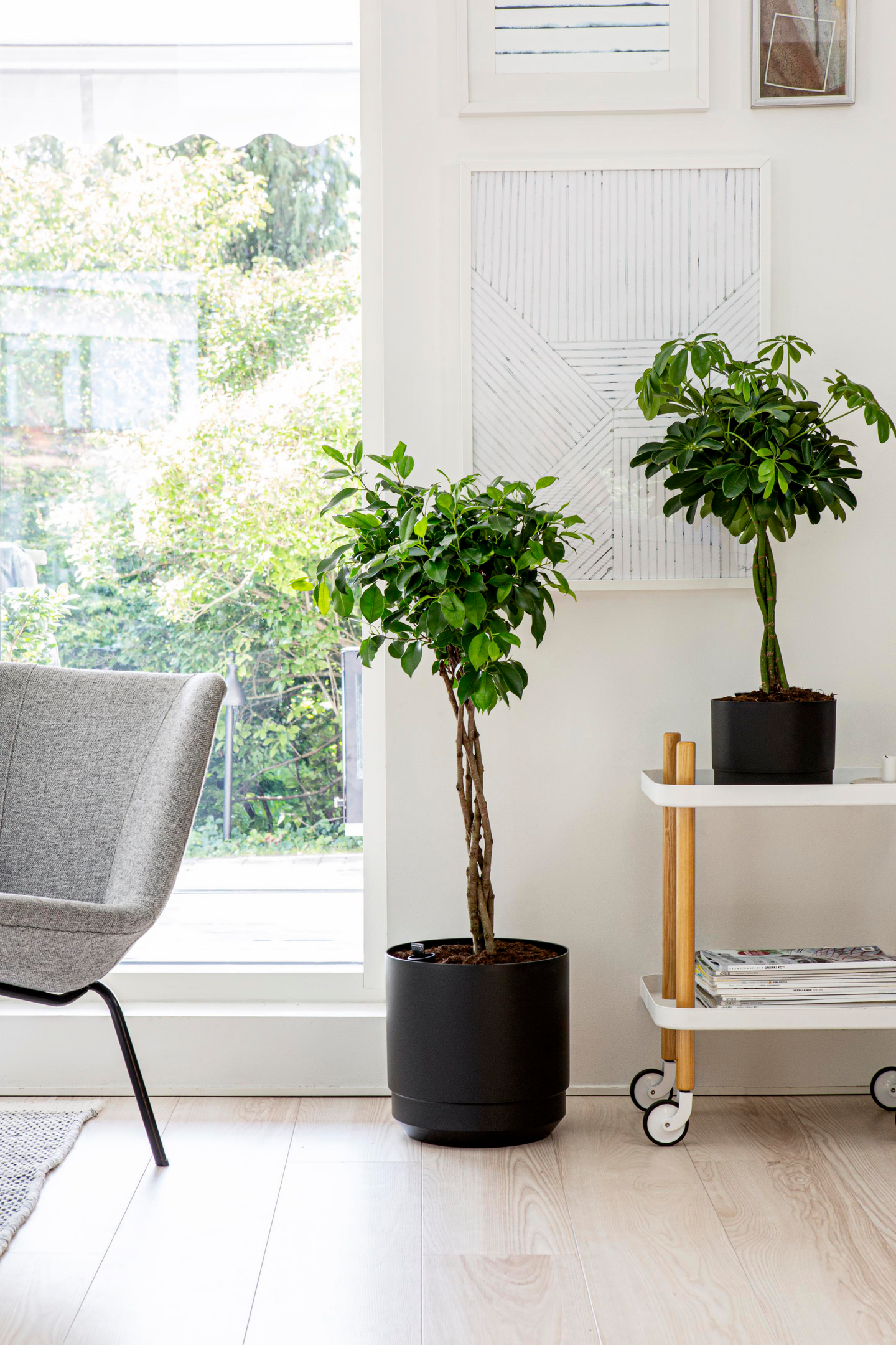 Ruukku Orthex halkaisija 20cm musta