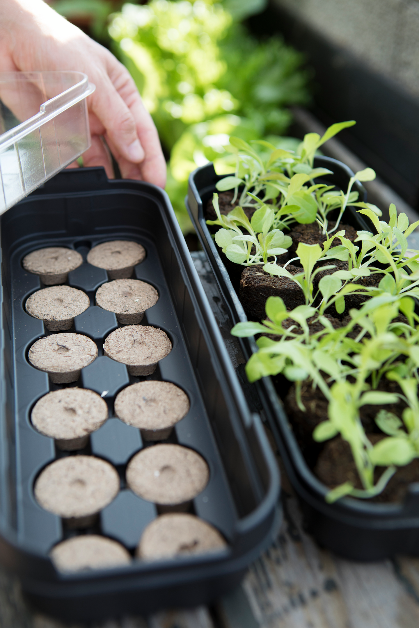 Pienoiskasvihuone Biolan