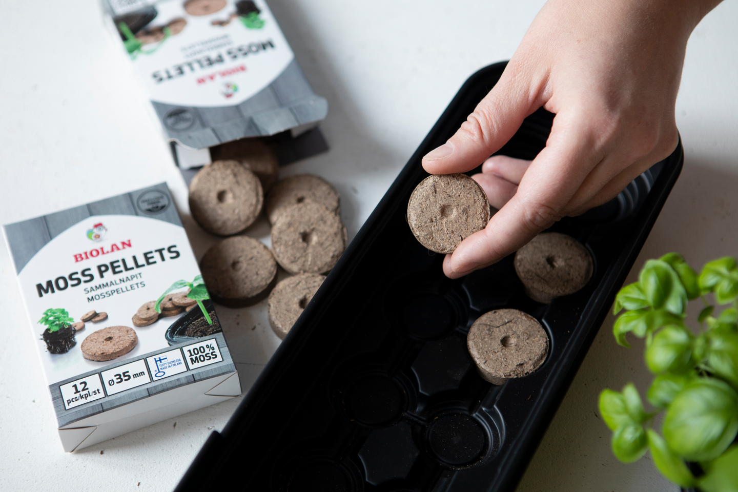 Sammalnapit Biolan 12kpl