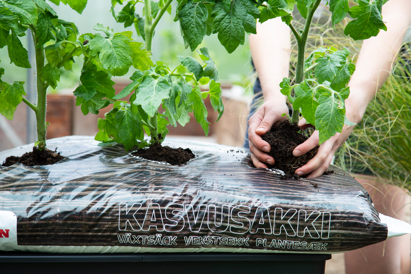 Kasvusäkki Biolan 60l