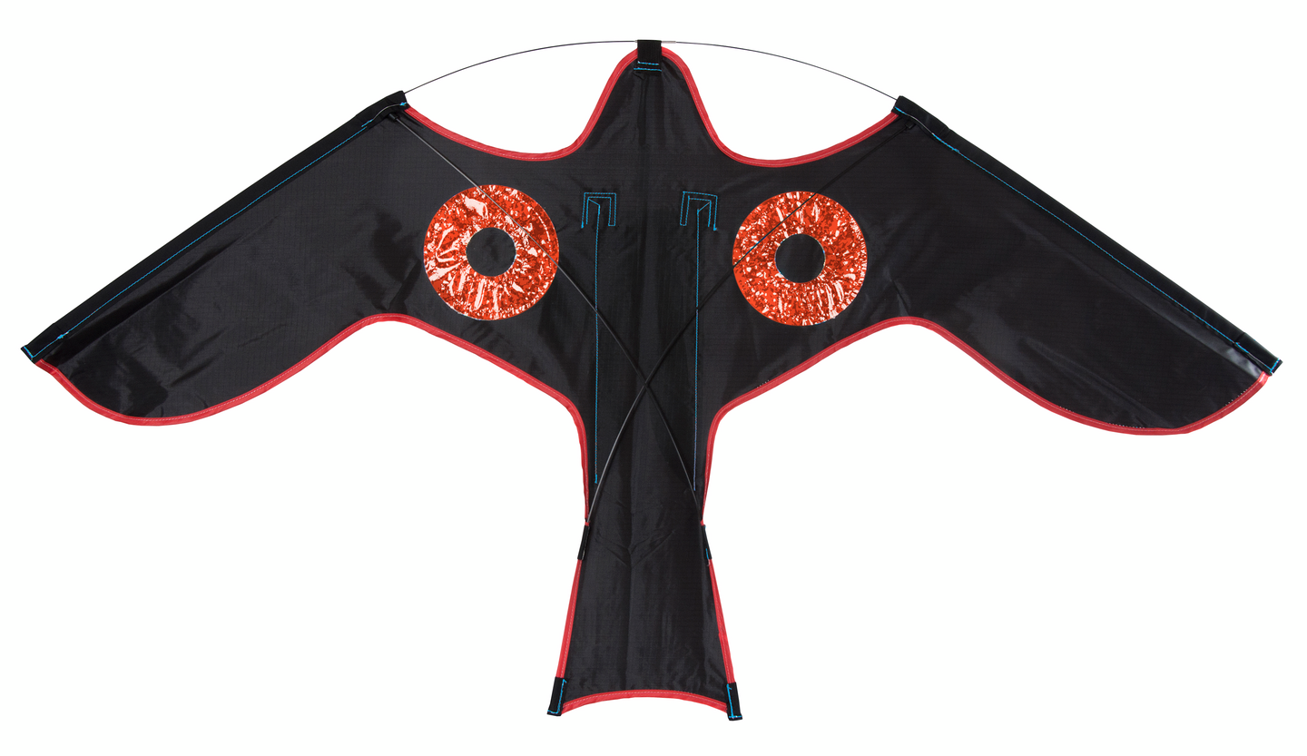 Linnunpelätinsetti Silverline Blackbird 5m