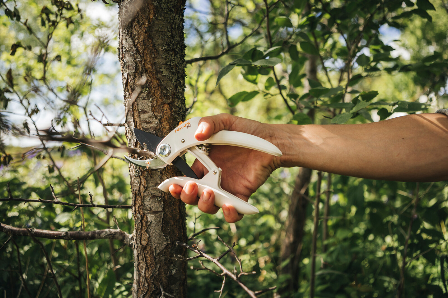 Oksasakset Fiskars P57 valkoinen ohileikkaava