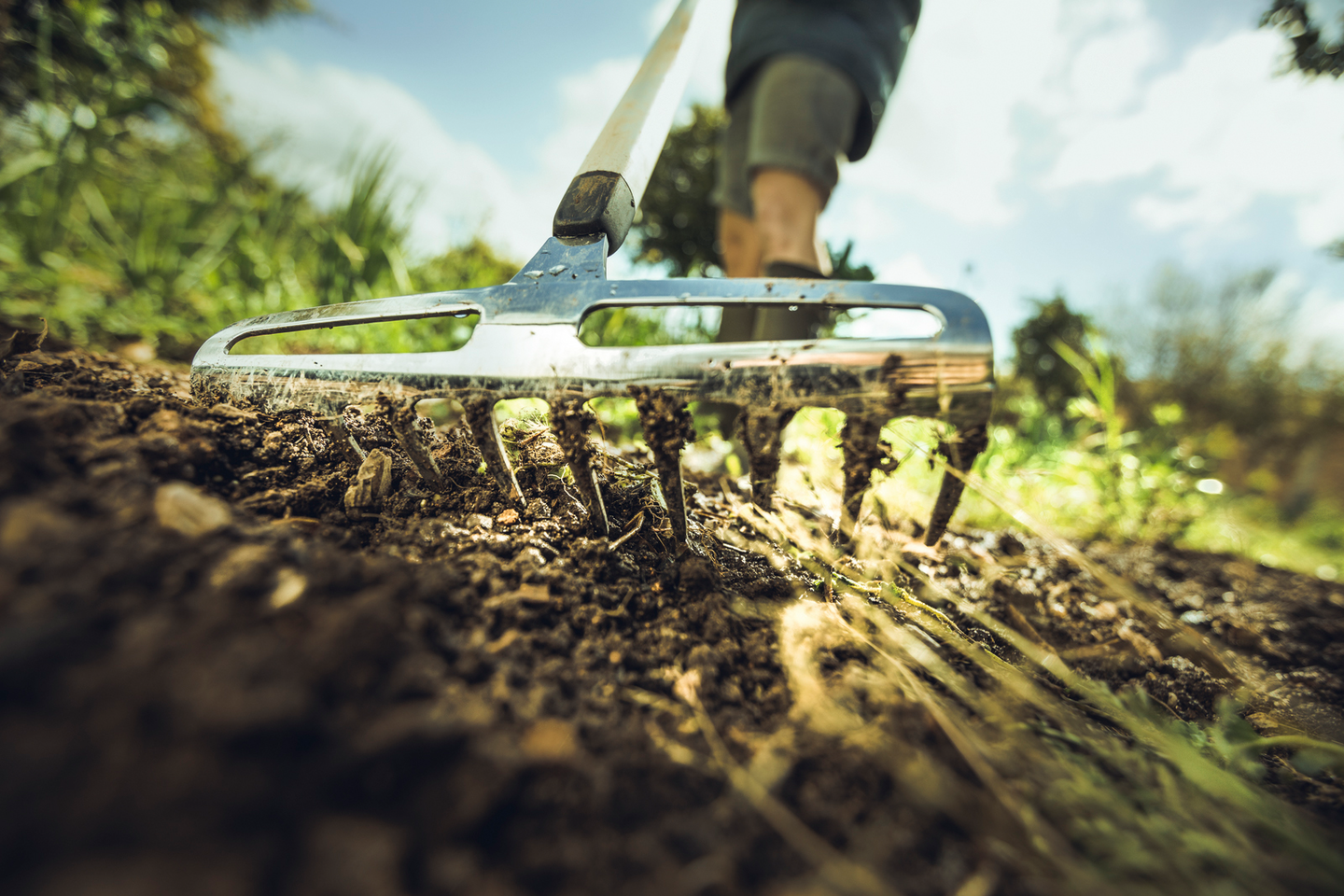 Ruusuharava Fiskars Xact S 230mm