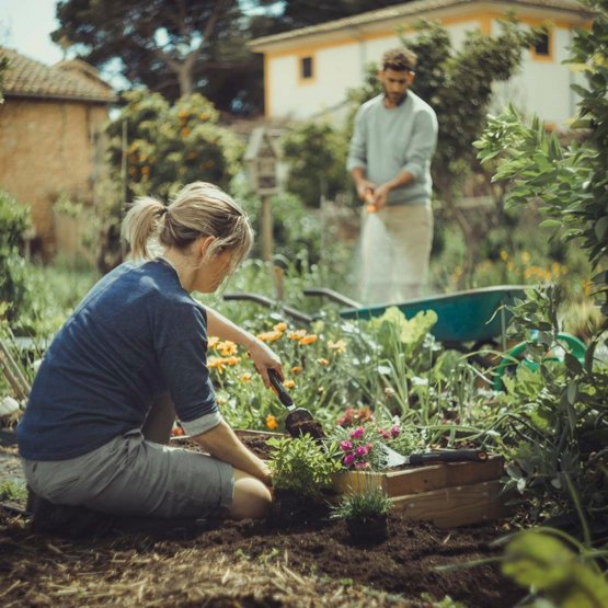 PLANTERINGSSPADE XACT