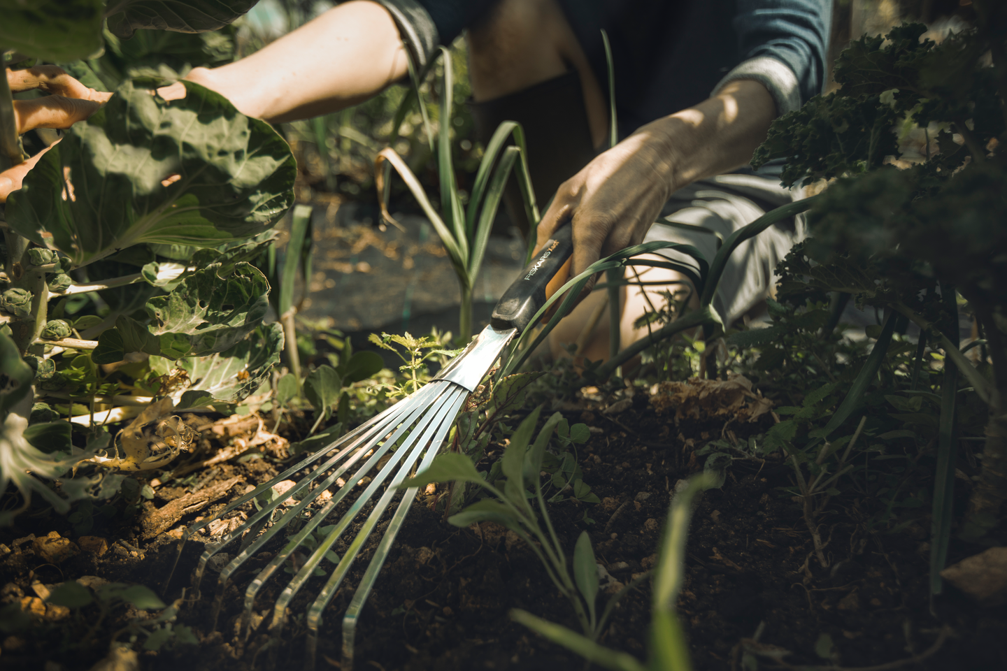 Pikkuharava Fiskars Xact