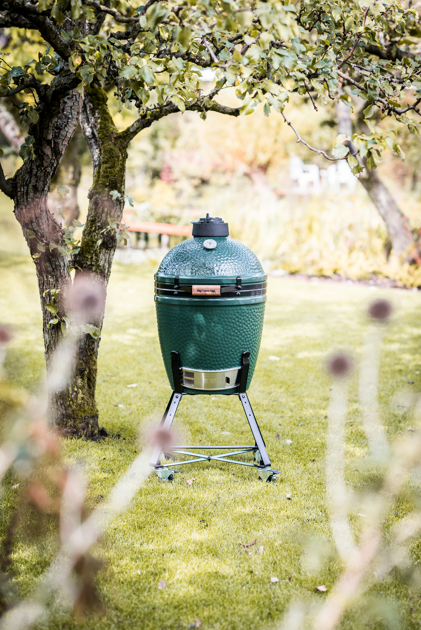 Hiiligrilli Big Green Egg M