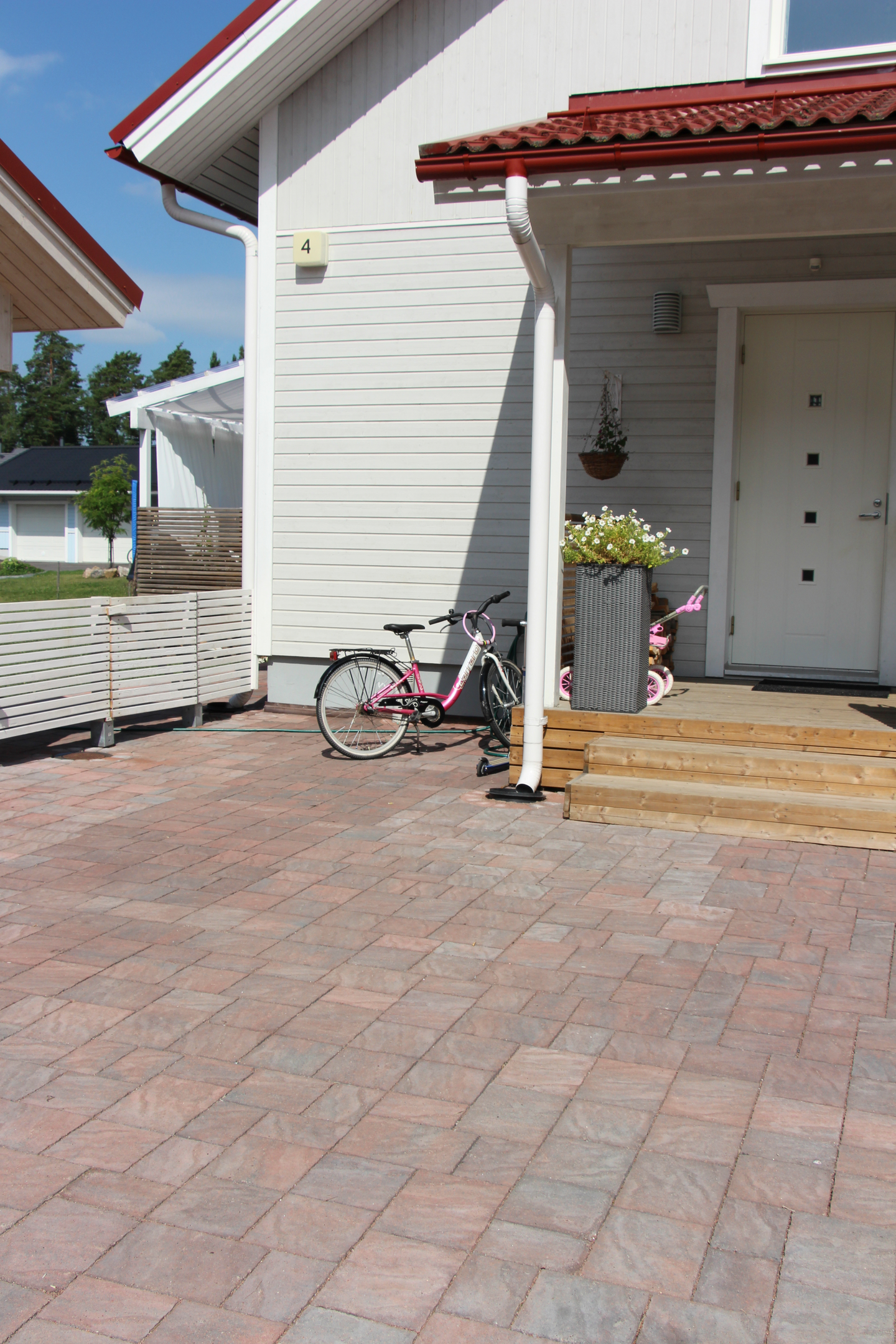 Torino-kivi Rudus punamusta