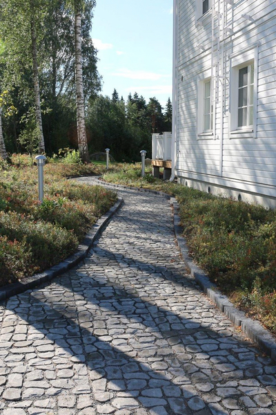 Louhikivi Rudus savu