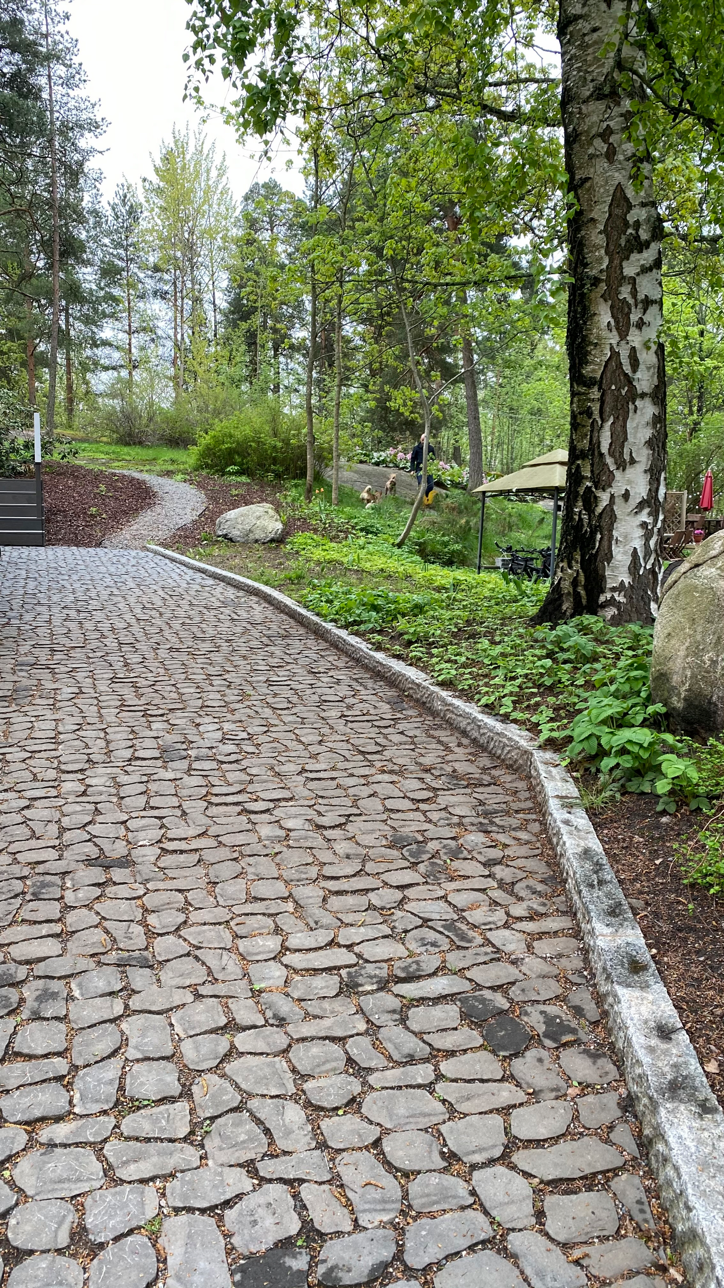 Louhikivi Rudus savu