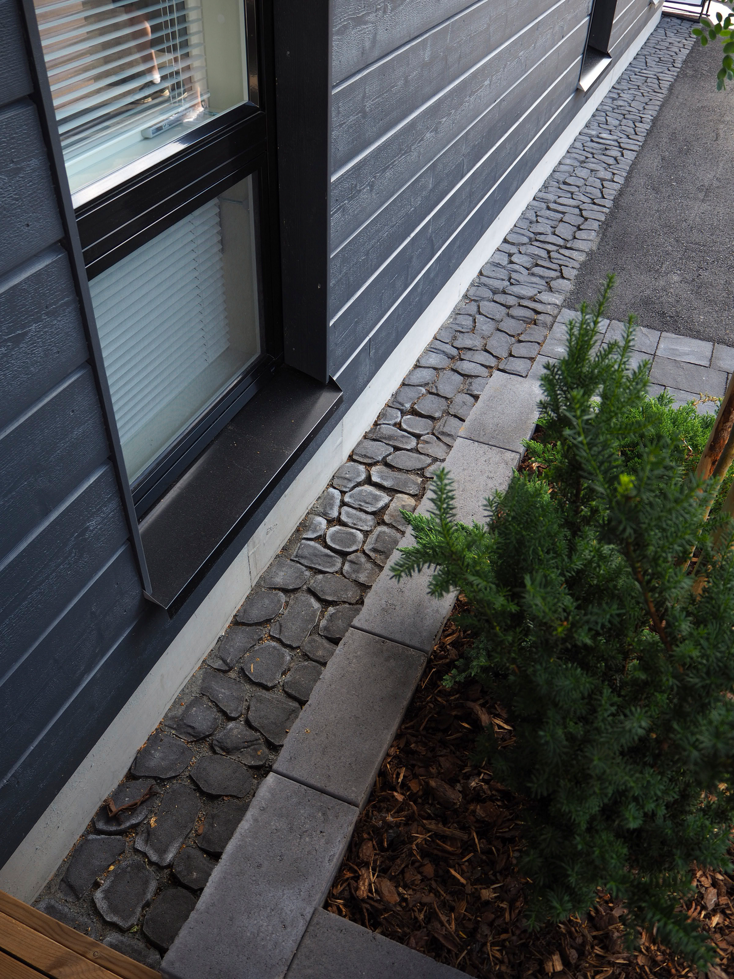 Louhikivi Rudus savu