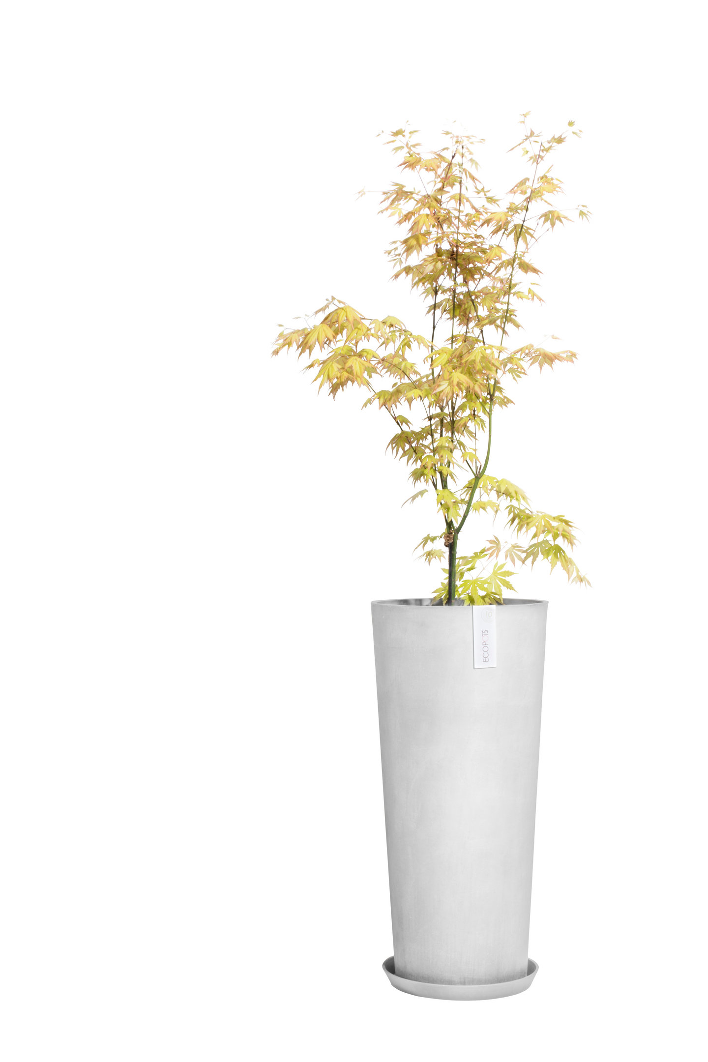 Ruukku Ecopots Amsterdam korkea 72,5cm valkoharmaa