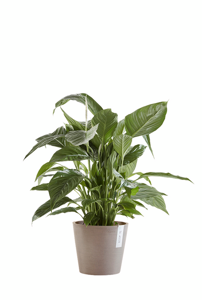 Ruukku Ecopots Amsterdam 20cm taupe