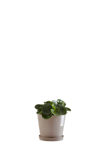 Ruukku Ecopots Amsterdam 20cm taupe