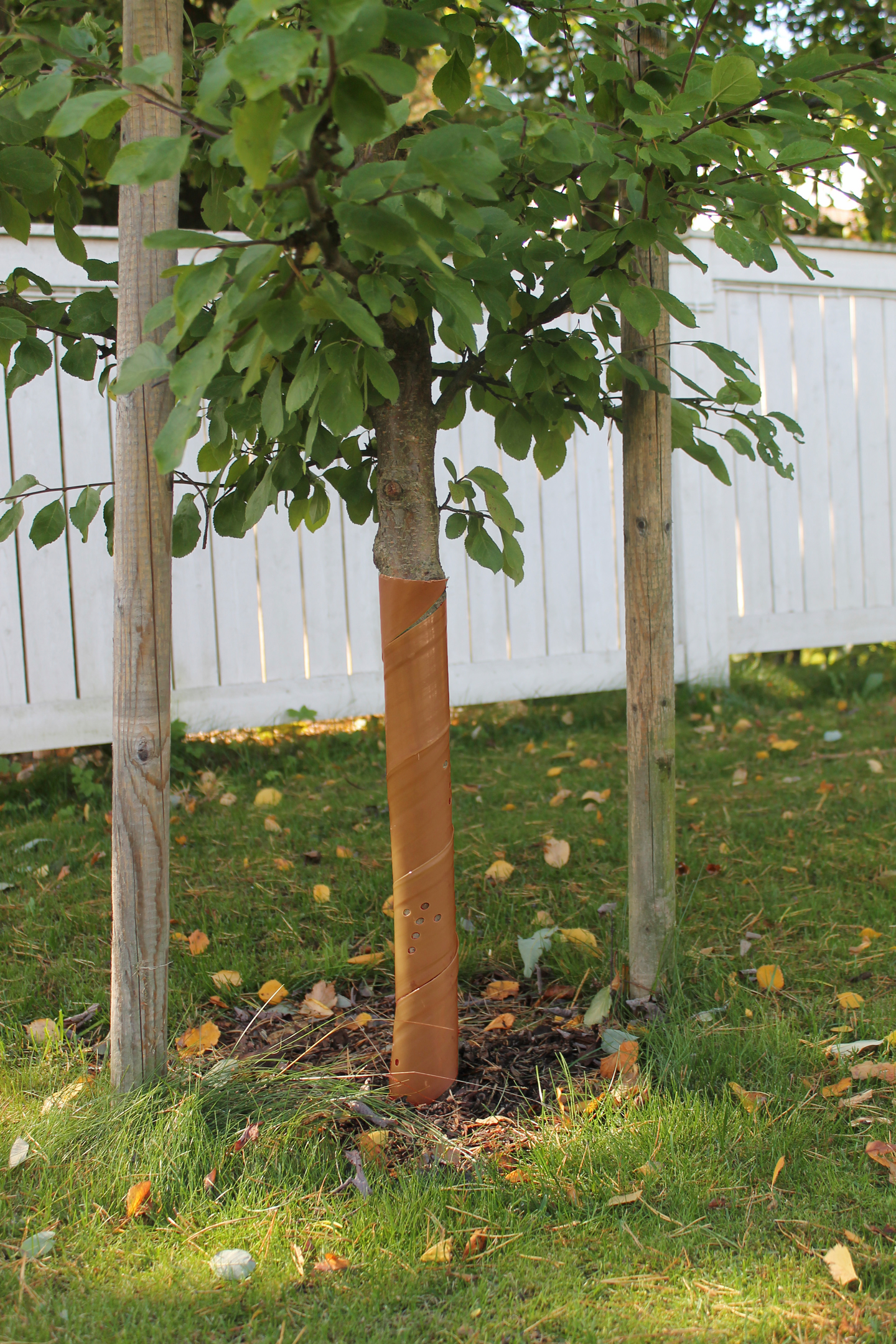 Rungonsuoja biohajoava 90cm