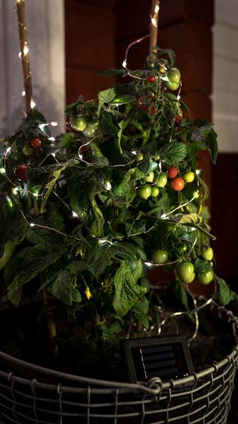 Valolanka Airam Solar lein 4,9m